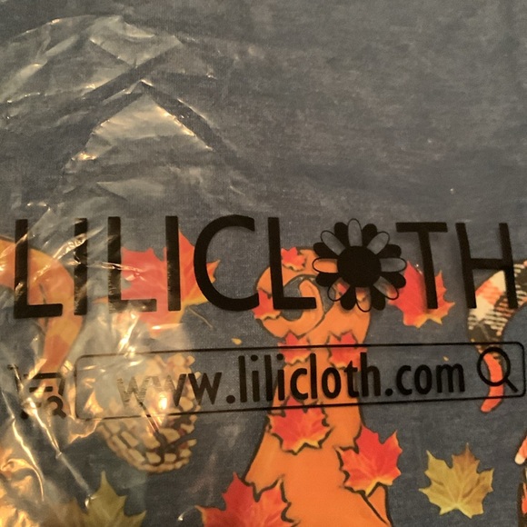 Brand new, beautiful blue T-shirt, long sleeve with festive fall gnomes - Picture 5 of 10